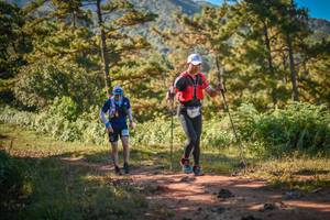 BIB: 
                            <button type="button" onclick="openModal(19252914)" class="btn btn-primary btn-sm float-right btn-popup" data-toggle="modal" data-target=".modal-high-quality">
                        <i class="fas fa-shopping-cart"></i> Add to Cart
                    </button>
                                            <button type="button" onclick="isThisMe(19252914, true)" class="btn btn-success btn-sm float-right btn-popup btn-isme hidden" data-toggle="tooltip" data-placement="bottom" title="นี่คือรูปของคุณใช่ไหม คลิกที่นี่เพื่อเอาเข้าอัลบั้ม">
                        <i class="fas fa-plus"></i> Add to album
                    </button>
                    <button type="button" onclick="isThisMe(19252914, false)" class="btn btn-warning btn-sm float-right btn-popup btn-isnotme hidden">
                        <i class="fas fa-ban"></i> Remove from album
                    </button>